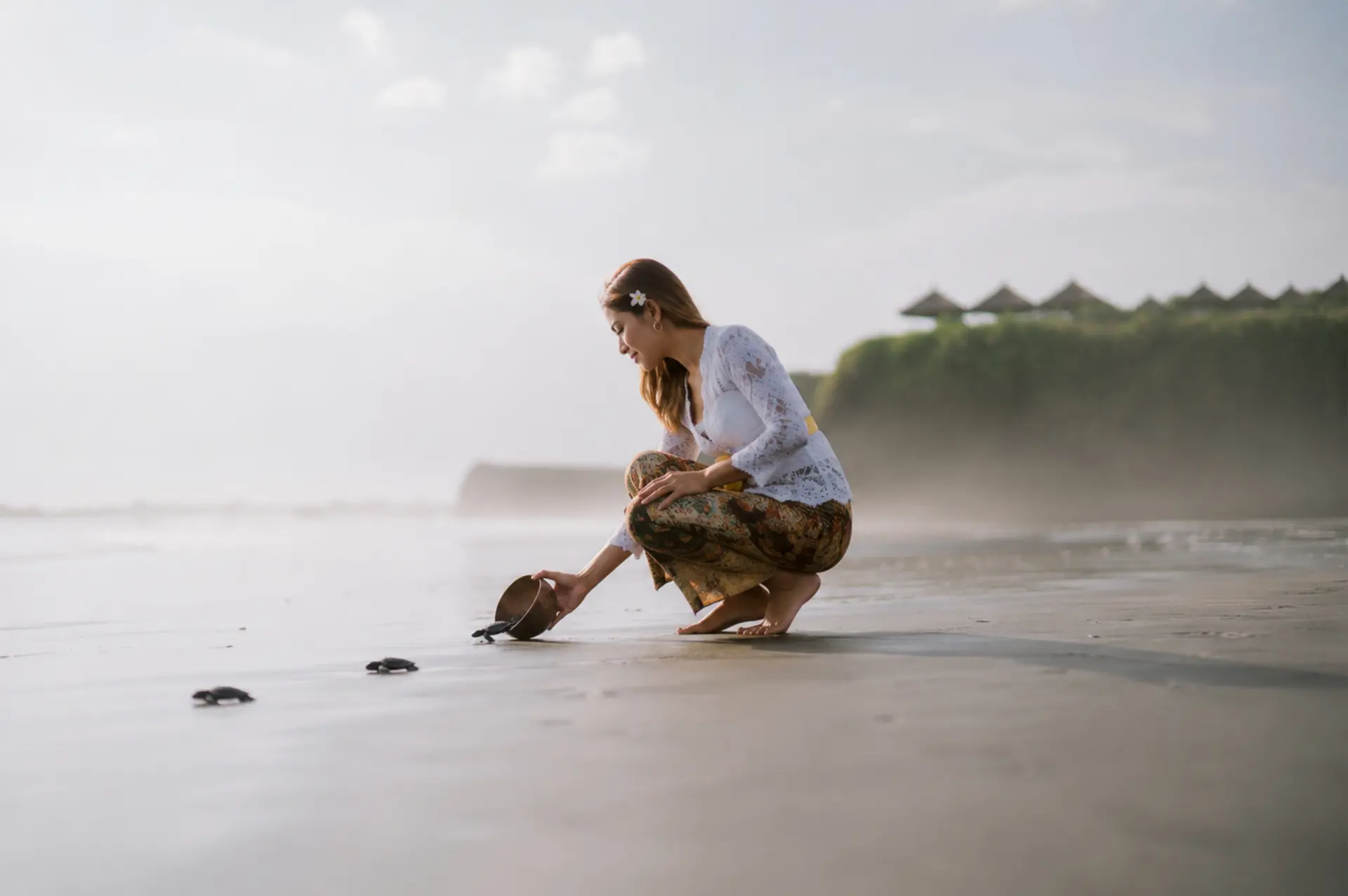 Woman releasing baby sea turtles from a coconut shell onto a beach.