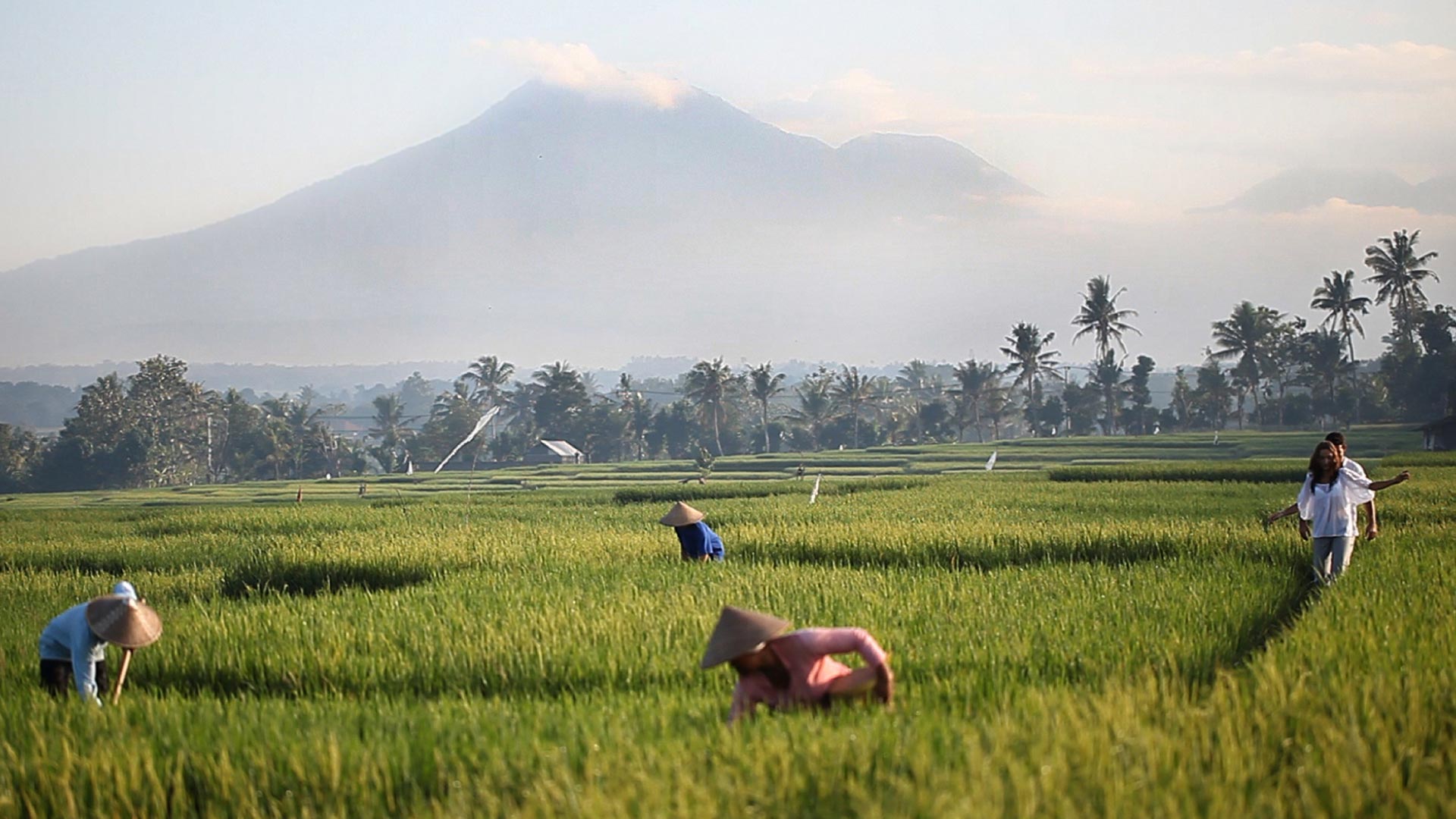 Exploring traditional Balinese rice farming