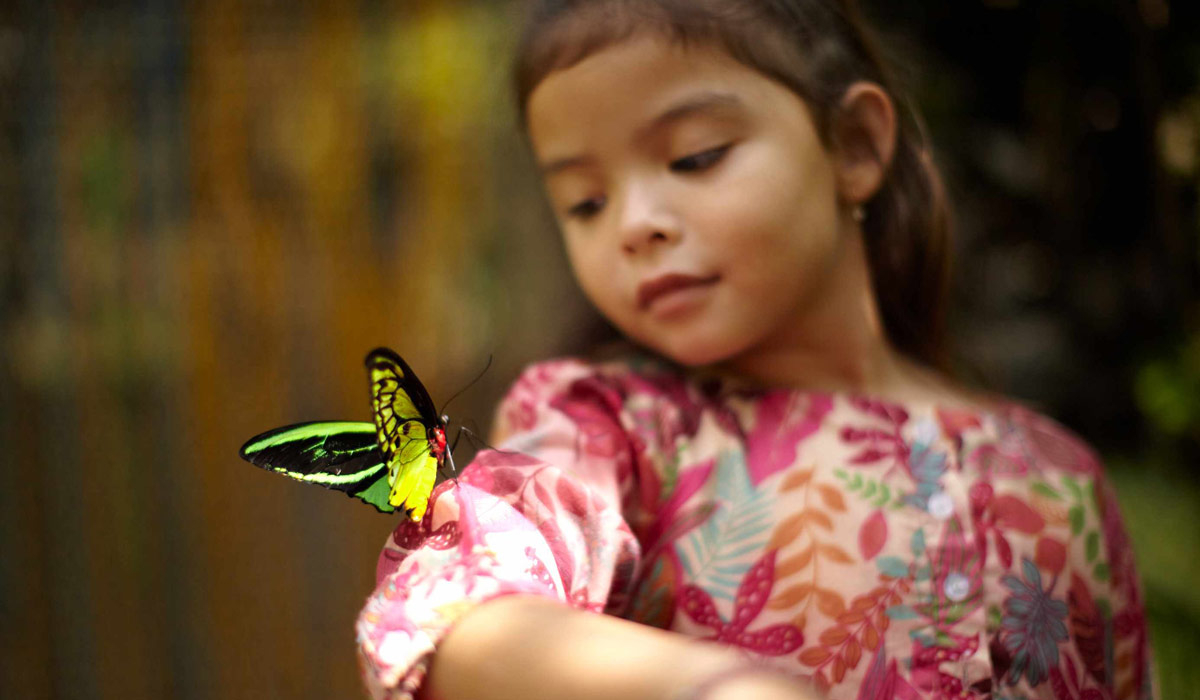 Journeys for Little Ones - Conservation & Nature