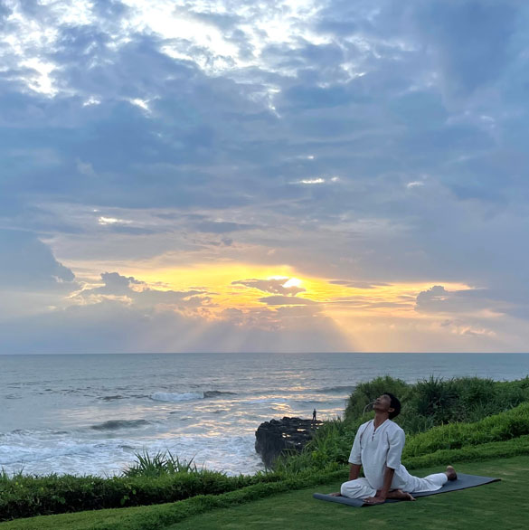 Wellness Journeys